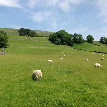 Cissy's Hawes