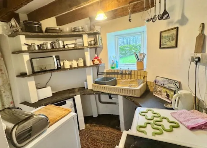 Cissy's * ברייסון סיטי